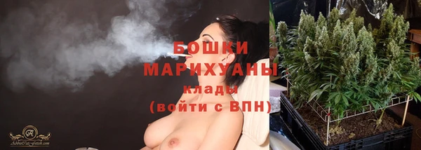 МДПВ Верхний Тагил