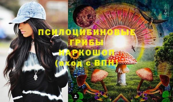 МДПВ Верхний Тагил